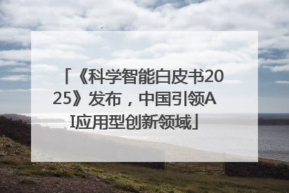 《科学智能白皮书2025》发布，中国引领AI应用型创新领域