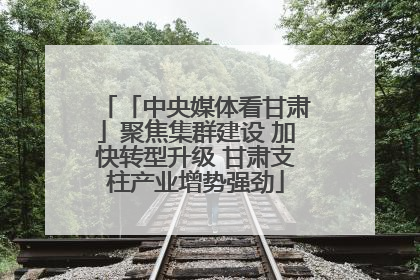 「中央媒体看甘肃」聚焦集群建设 加快转型升级 甘肃支柱产业增势强劲