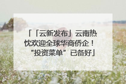 「云新发布」云南热忱欢迎全球华商侨企！“投资菜单”已备好