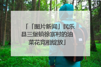 「图片新闻」民乐县三堡镇徐寨村的油菜花竞相绽放