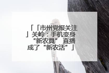 「市州党报关注」关岭：手机变身“新农具” 直播成了“新农活”
