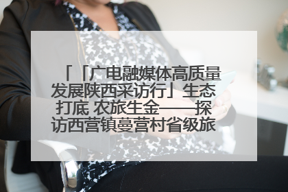 「广电融媒体高质量发展陕西采访行」生态打底 农旅生金——探访西营镇蔓营村省级旅游示范村的振兴密码