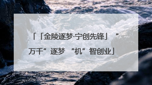 「金陵逐梦·宁创先锋」“万千”逐梦 “机”智创业