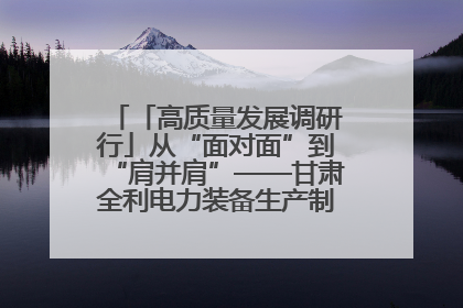「高质量发展调研行」从“面对面”到“肩并肩”——甘肃全利电力装备生产制造项目一线见闻
