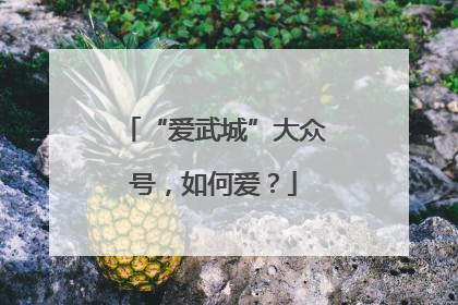 “爱武城”大众号，如何爱？