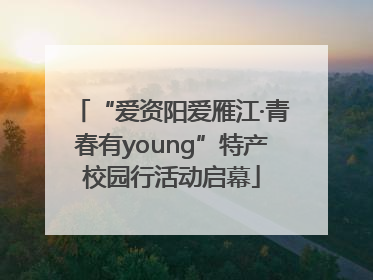 “爱资阳爱雁江·青春有young”特产校园行活动启幕