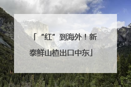 “红”到海外！新泰鲜山楂出口中东