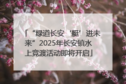 “绿道长安‘艇’进未来”2025年长安镇水上竞渡活动即将开启
