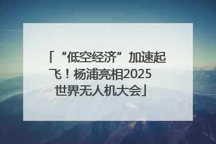 “低空经济”加速起飞！杨浦亮相2025世界无人机大会