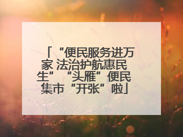 “便民服务进万家 法治护航惠民生”“头雁”便民集市“开张”啦