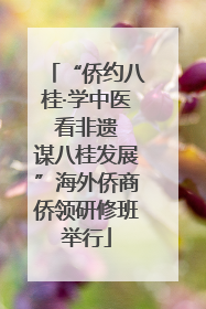 “侨约八桂·学中医 看非遗 谋八桂发展”海外侨商侨领研修班举行