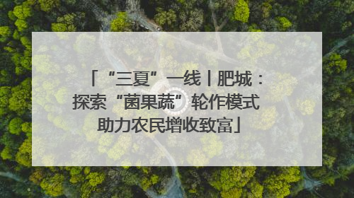“三夏”一线丨肥城：探索“菌果蔬”轮作模式 助力农民增收致富