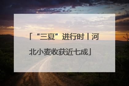 “三夏”进行时丨河北小麦收获近七成