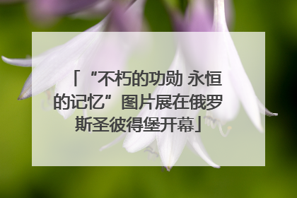 “不朽的功勋 永恒的记忆”图片展在俄罗斯圣彼得堡开幕
