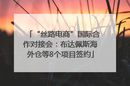 “丝路电商”国际合作对接会：布达佩斯海外仓等8个项目签约
