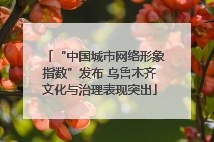 “中国城市网络形象指数”发布 乌鲁木齐文化与治理表现突出