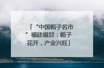 “中国栀子名市”福建福鼎：栀子花开，产业兴旺