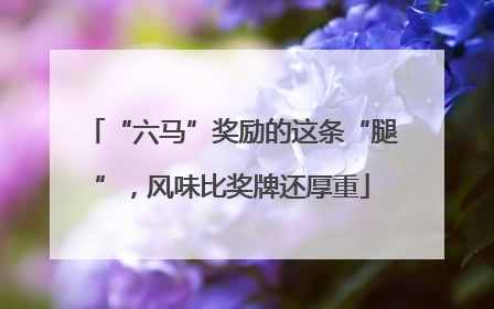 “六马”奖励的这条“腿”，风味比奖牌还厚重