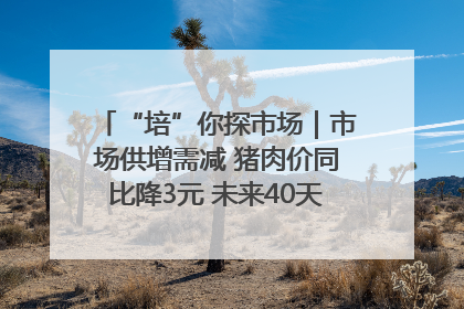 “培”你探市场｜市场供增需减 猪肉价同比降3元 未来40天便宜猪肉敞开吃