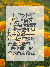 “唐小鲤”IP全球首发！高唐携锦鲤产业指数布局数字赛道——中国高唐锦鲤产业指数暨“唐小鲤”IP全球首发仪式在杭州举行