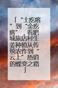 “土疙瘩”到“金疙瘩”，看肥城旅店村生姜种植从传统农作到“云上”热销的蝶变之路
