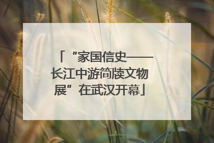 “家国信史——长江中游简牍文物展”在武汉开幕