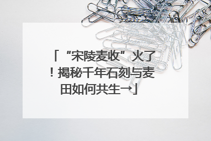 “宋陵麦收”火了！揭秘千年石刻与麦田如何共生→