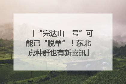 “完达山一号”可能已“脱单”！东北虎种群也有新喜讯
