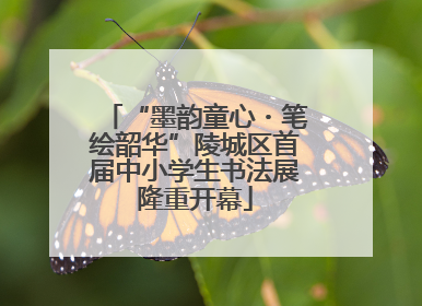 “墨韵童心・笔绘韶华”陵城区首届中小学生书法展隆重开幕