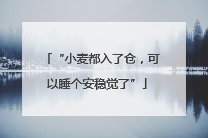 “小麦都入了仓，可以睡个安稳觉了”