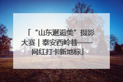 “山东邂逅美”摄影大赛｜泰安西岭巷——网红打卡新地标