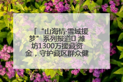 “山海情·雪域援梦”系列报道⑪ 潍坊1300万援藏资金，守护藏区群众健康“最后一公里”