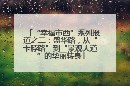 “幸福市西”系列报道之二：盛华路，从“卡脖路”到“景观大道”的华丽转身