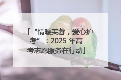 “情暖芙蓉，爱心护考”：2025 年高考志愿服务在行动