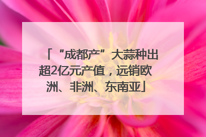 “成都产”大蒜种出超2亿元产值，远销欧洲、非洲、东南亚