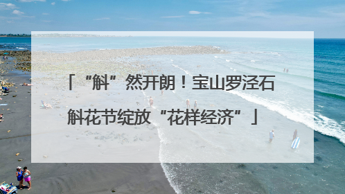 “斛”然开朗！宝山罗泾石斛花节绽放“花样经济”