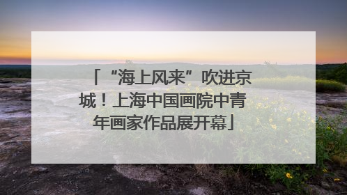 “海上风来”吹进京城！上海中国画院中青年画家作品展开幕