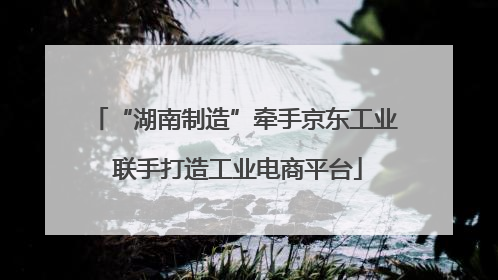 “湖南制造”牵手京东工业 联手打造工业电商平台