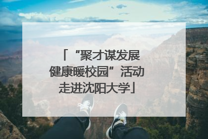 “聚才谋发展 健康暖校园”活动走进沈阳大学
