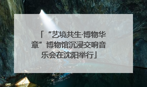 “艺境共生·博物华章”博物馆沉浸交响音乐会在沈阳举行