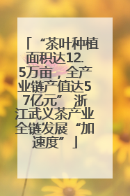 “茶叶种植面积达12.5万亩，全产业链产值达57亿元” 浙江武义茶产业全链发展“加速度”