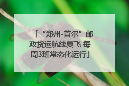 “郑州-首尔”邮政货运航线复飞 每周3班常态化运行
