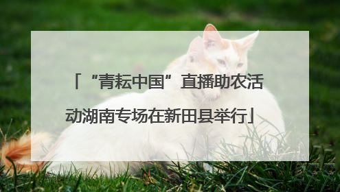 “青耘中国”直播助农活动湖南专场在新田县举行