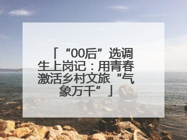 “00后”选调生上岗记：用青春激活乡村文旅“气象万千”