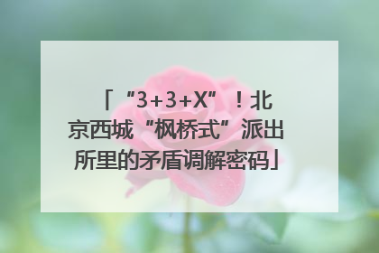 “3+3+X”！北京西城“枫桥式”派出所里的矛盾调解密码