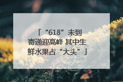 “618”未到 寄递迎高峰 其中生鲜水果占“大头”