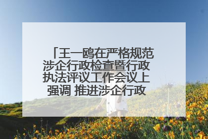 王一鸥在严格规范涉企行政检查暨行政执法评议工作会议上强调 推进涉企行政检查质效大幅提升