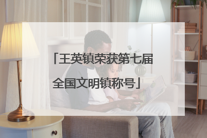 王英镇荣获第七届全国文明镇称号