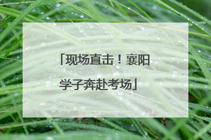 现场直击！襄阳学子奔赴考场