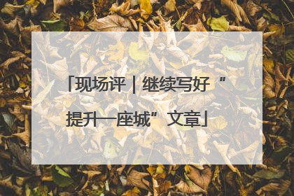 现场评｜继续写好“提升一座城”文章